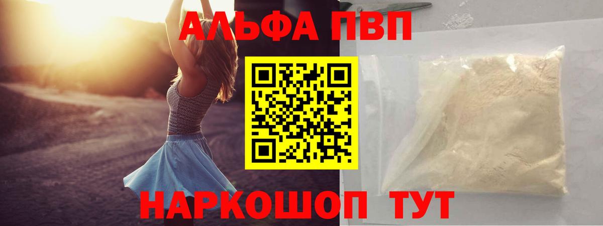 A PVP СК КРИС Казань