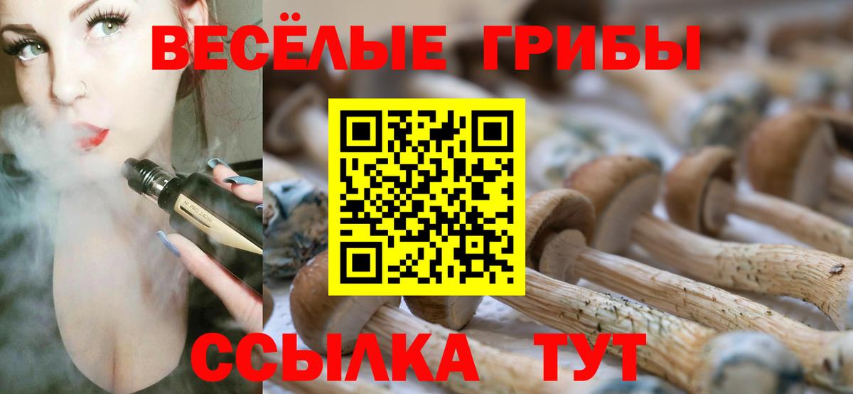 Казань  закладка  Вход с VPN  Псилоцибиновые грибы Cubensis 
