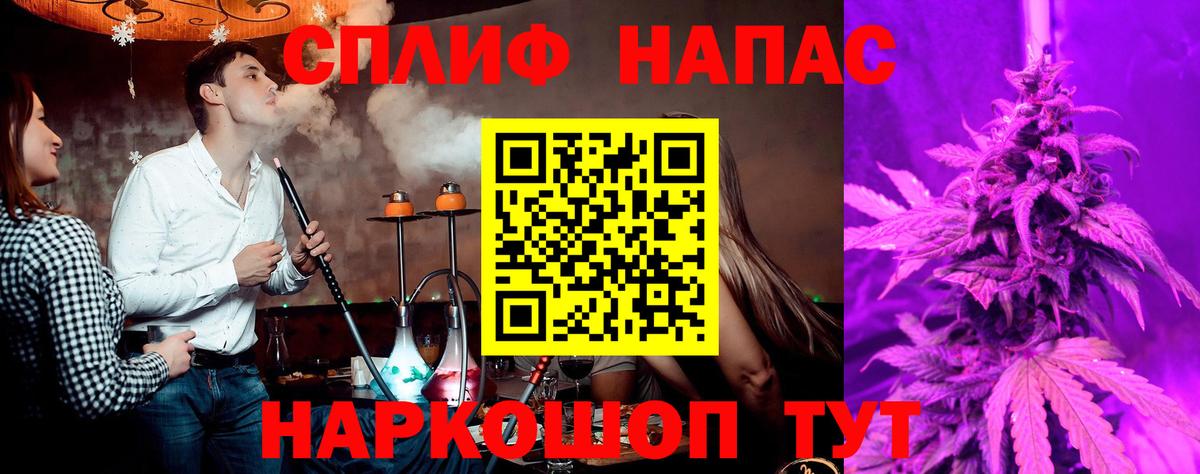МЕФ Казань